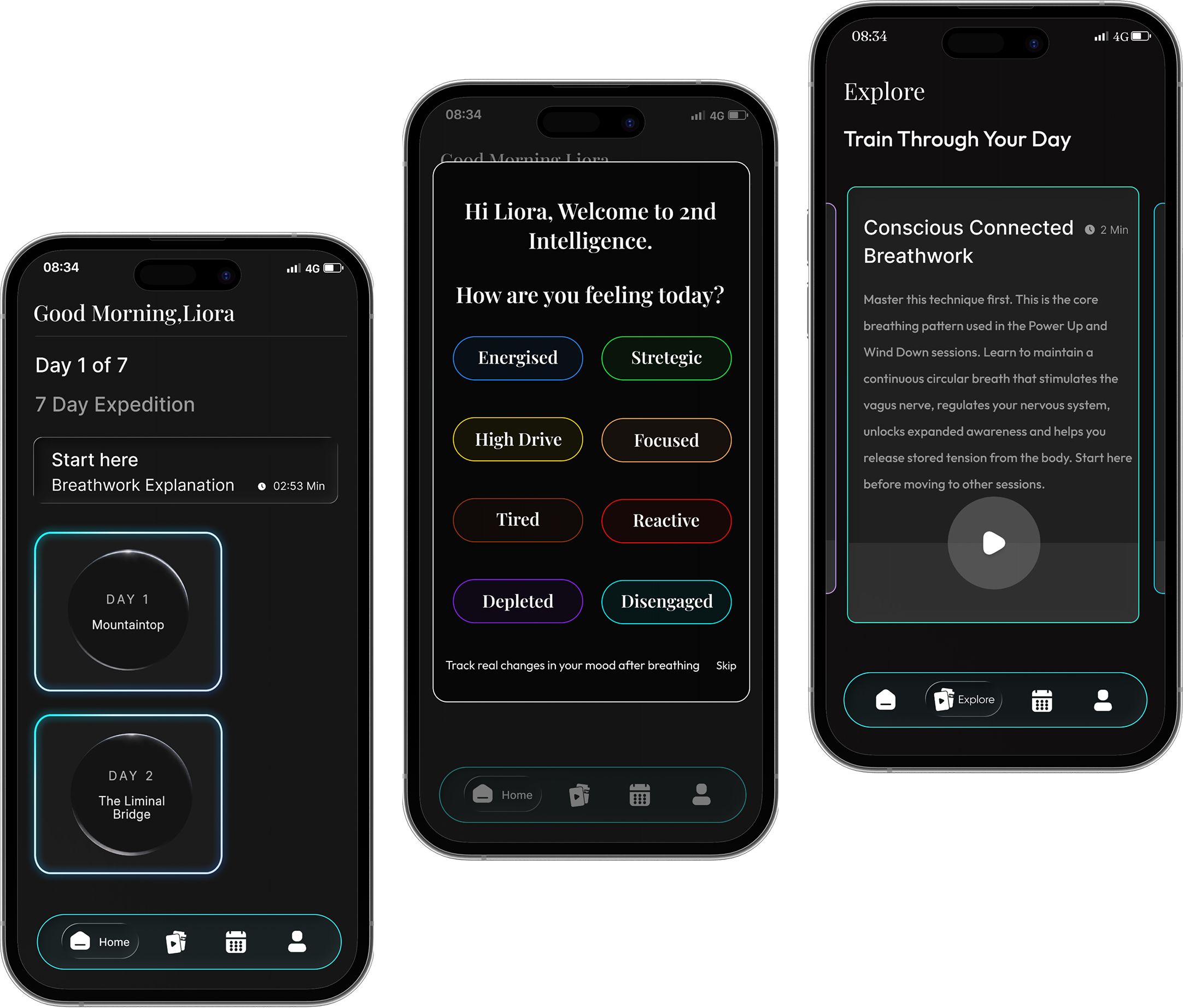 2nd Intelligence app preview